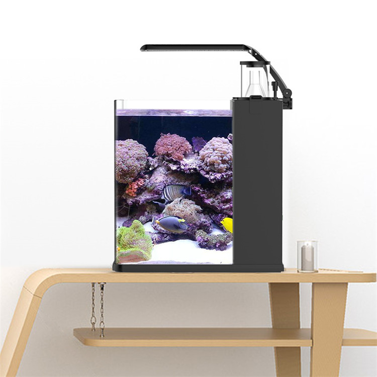 Marine Aquarium Cube - Skynuo Ultra Klares Glas Mini Salzwasser-Meerwasseraquarium