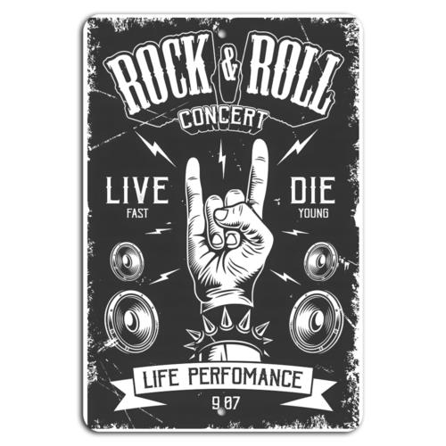 Live Rock - Live Fast, Rock Hard: Ein Konzert,