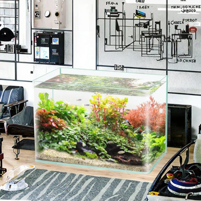 Box-Verpackung, Desktop-Aquari – Saltwater Tank Bewertung und Preis
