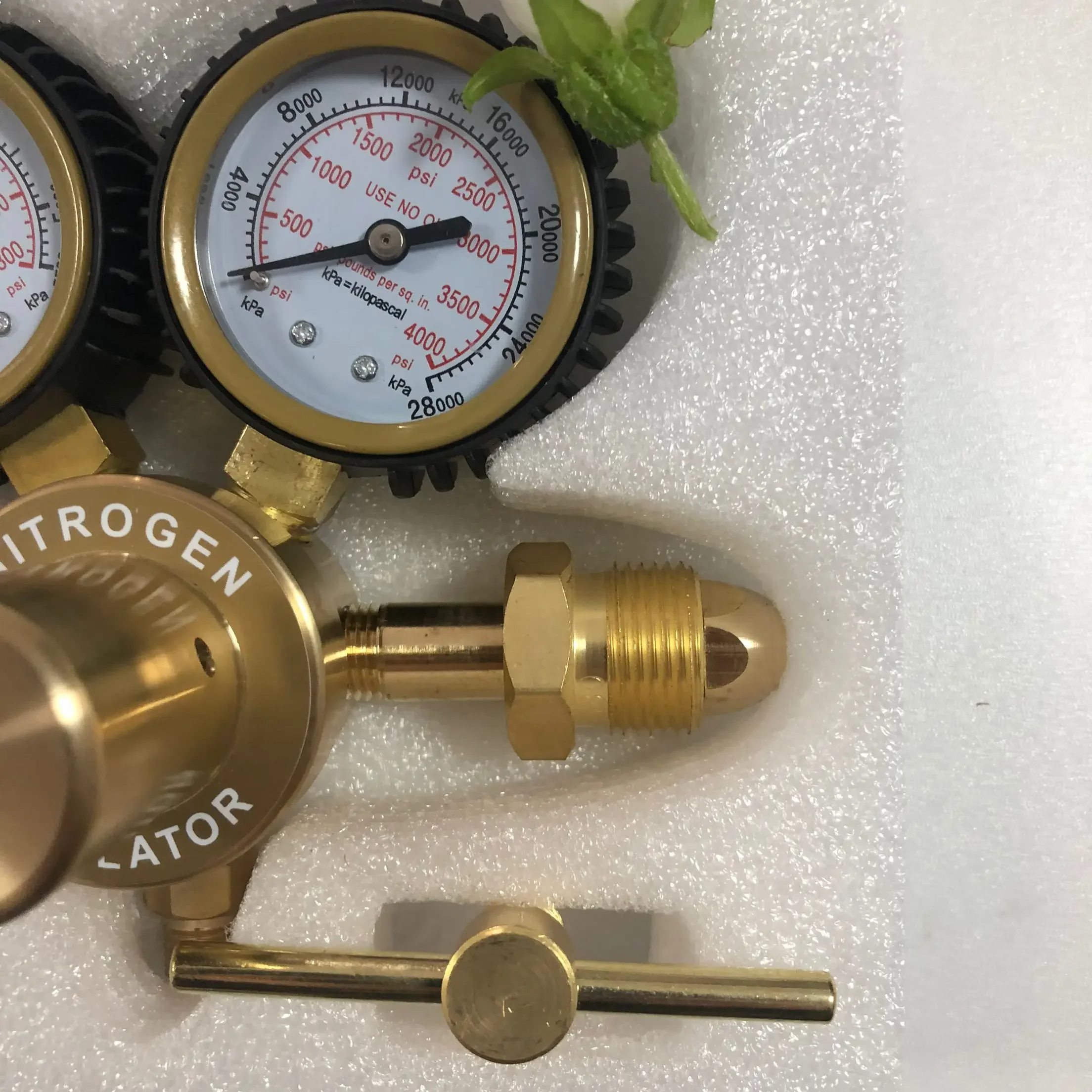 Druckminderer im amerikanische – Nitrate Reductase Bewertung und Preis
