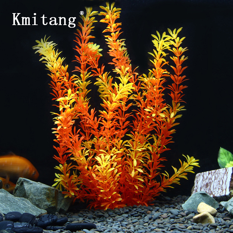100cm Tropische Pflanzen, Groß – Ocean Aquarium Bewertung und Preis