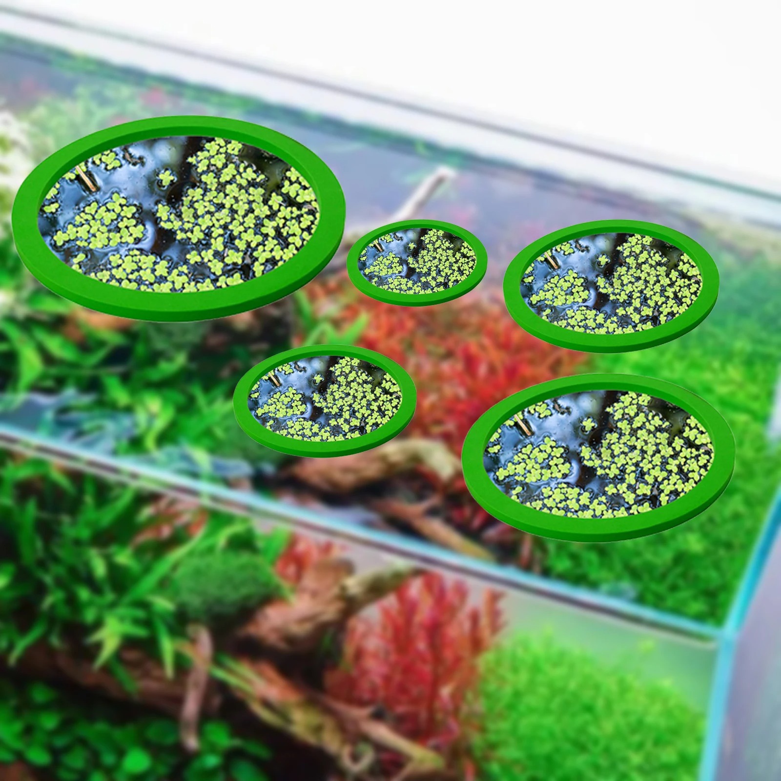 5Pcs EVA Fisch Fütterung Ring  – Ocean Aquarium Bewertung und Preis