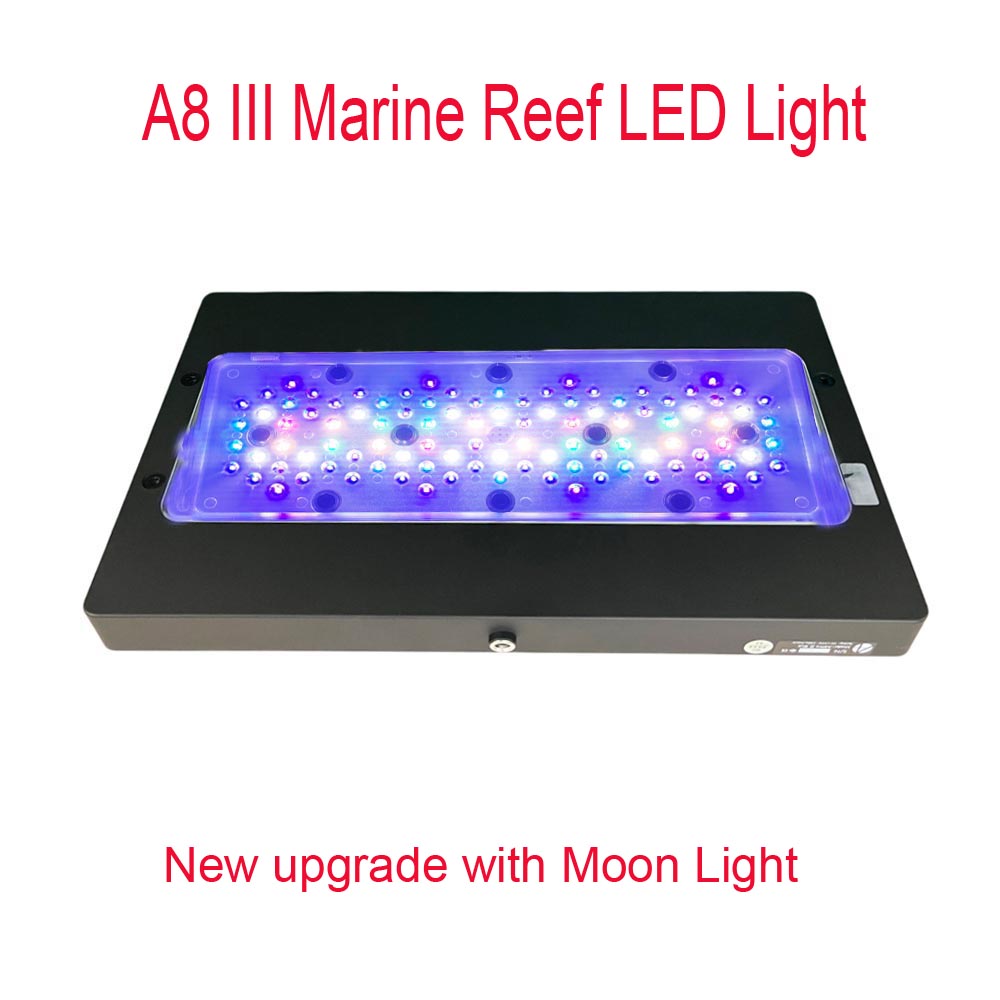 A8 III Moon Light Leistungssta – Marine Coral Bewertung und Preis