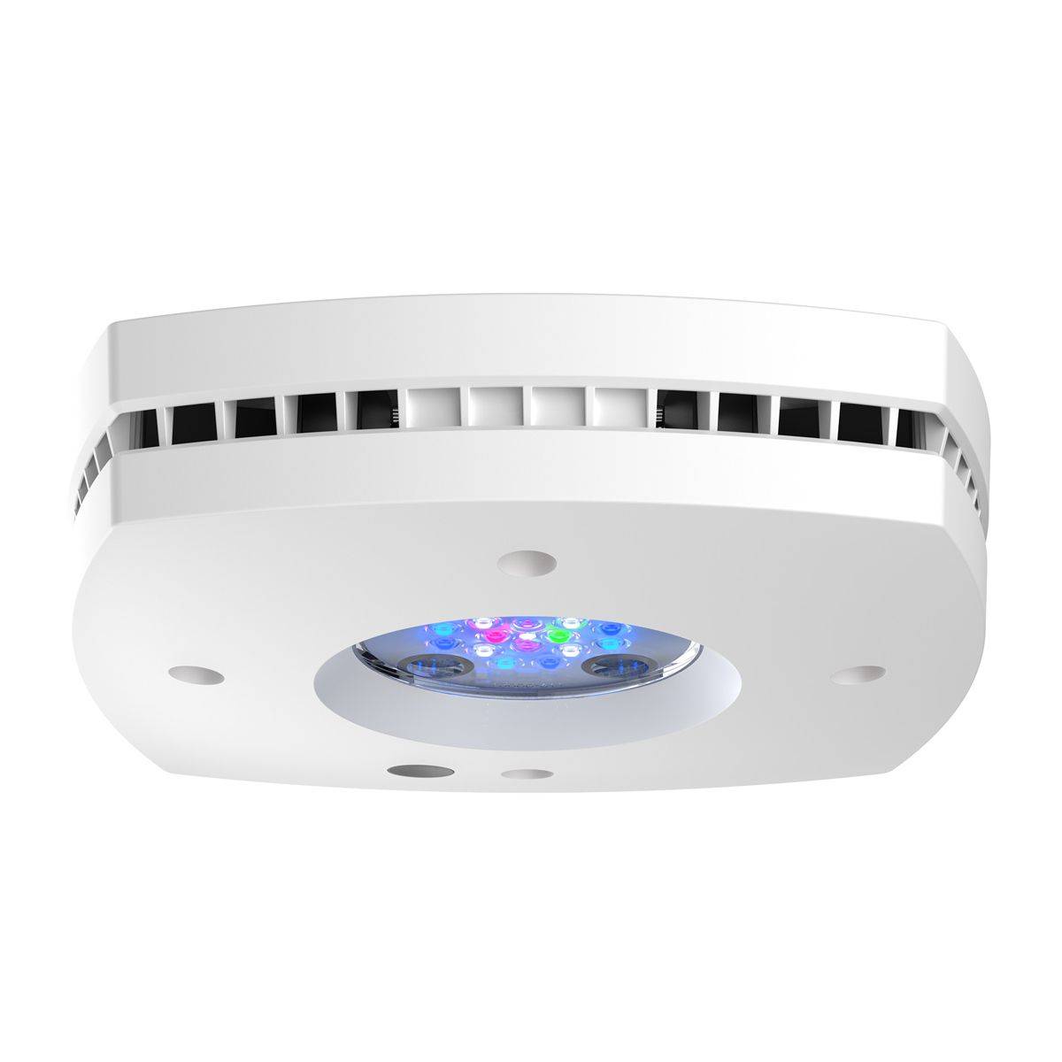Prime 16 HD LED-Reflicht, Orig – Reef Lighting Bewertung und Preis