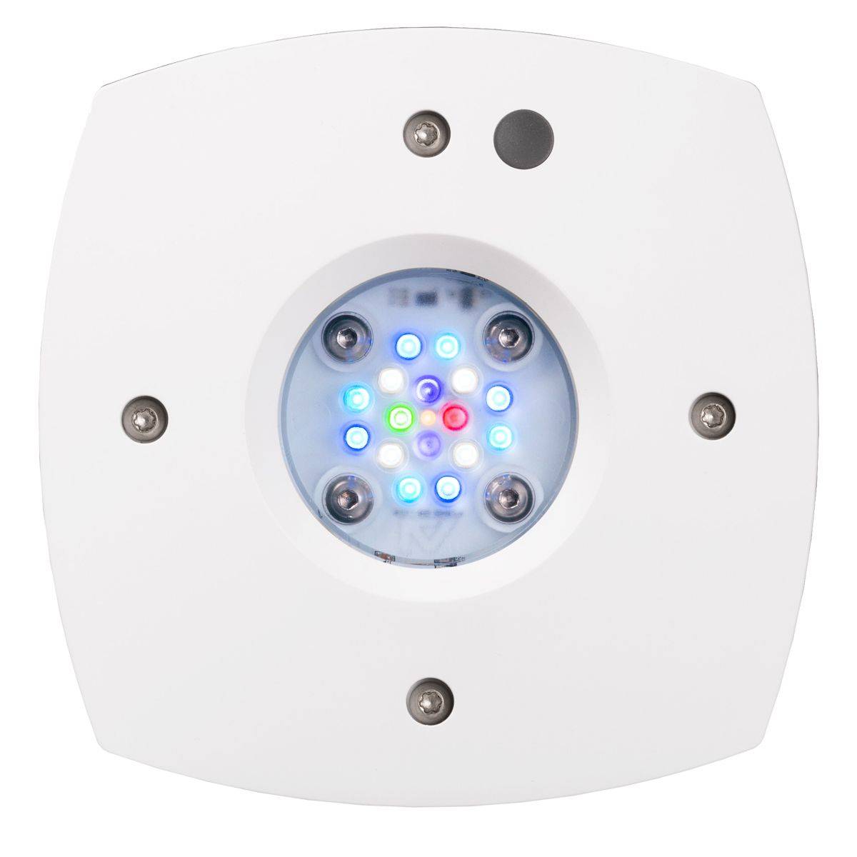 Prime 16 HD LED-Reflicht, Orig – Reef Lighting Bewertung und Preis
